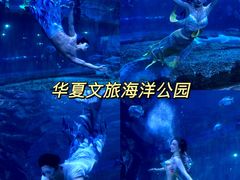 -华夏文旅海洋公园