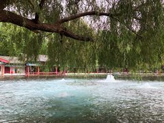 -百脉泉景区