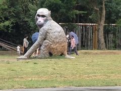 -何乡别院·中式农庄(姑婆山大道店)