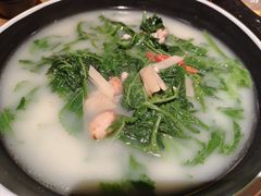 -羽鸽集·乳鸽专门店·地道顺德菜(岭南站店)