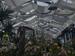 -北马山庄植趣咖啡
