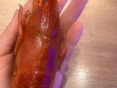 -红盔甲·小龙虾(定西路店)
