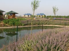 -千龙湖生态旅游度假区