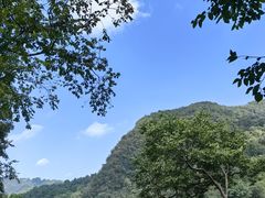 -黔灵山公园