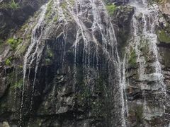 -藏龙百瀑风景区