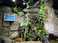 -嘉兴海底世界