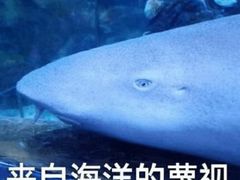 -鲜果时间·果蔬茶(赛格负二层店)