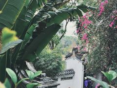 -深圳国际园林花卉博览园