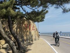 -田记自助海鲜饺子