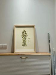 -MLYG美来瑜伽·普拉提