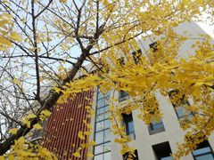 -南京航空航天大学(将军路校区)