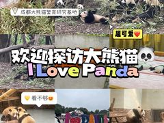 -成都大熊猫繁育研究基地