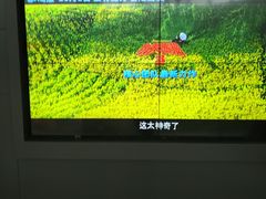 -万达影城(闵行颛桥万达广场杜比影院店)
