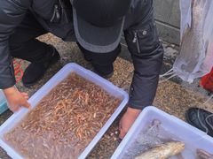 -沈家门渔港