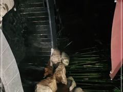 -水底山庄园温泉