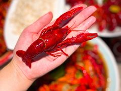 -沪小胖小龙虾(淮海中路旗舰店)