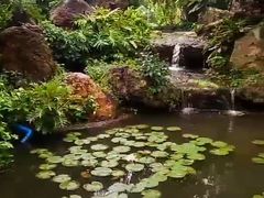 -晓港公园