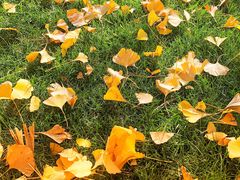 -中华世纪坛-停车场