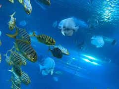 -太平洋海底世界