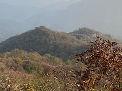 -大岭沟猕猴桃谷风景区