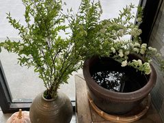 -囿面传统制面馆(中央路店)