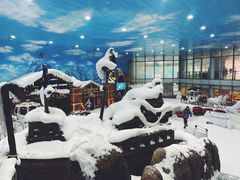 -世界之窗阿尔卑斯冰雪世界