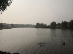 -长广溪湿地公园