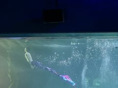 -常州海昌海洋探索馆