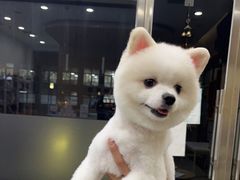 -宠颐生·恒爱宠物医院(静海店)