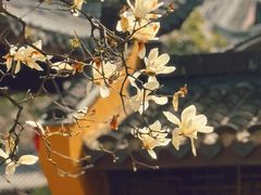 -龙华寺