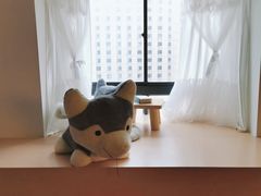 -Husky Go! 哈士奇体验馆·宠物咖啡厅狗咖