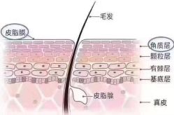 -慕拉美甲美睫皮肤管理