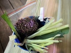 -正佳雨林生态植物园