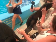 -尼莫海豚馆