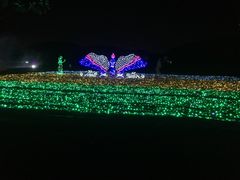 -亚龙湾国际玫瑰谷