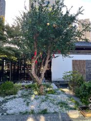 -保丽宝泰母婴护理院·月子中心·产康·中医(常州店)