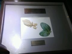 -上海昆虫博物馆