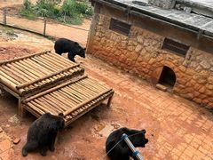 -昆明动物园
