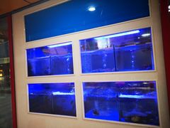 -小龍鳳·港式海鲜打边炉(沙湖路店)