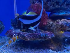 -秦皇岛新澳海底世界