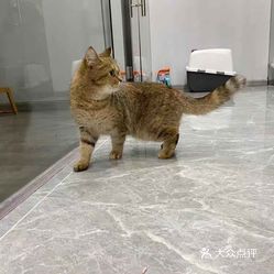 uLJESoSSpi_9-FHz8_-4m3R86l9wZwX_9JCz247NFM5_kQU1XxpLvyT7Ek61DQZ1uzFvxlbkWx5uwqY2qcjixFEuLYk00OmSS1IdNpm8K8sG4JN9RIm2mTKcbLtc2o2vfCF2ubeXzk49OsGrXt_KYDCngOyCwZK-s3fqawWswzk.jpg