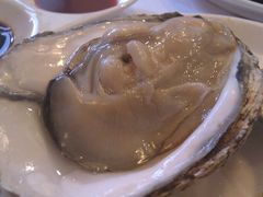 生蚝-千惠生鱼片(连红小区店)