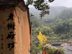 -杨家堂村