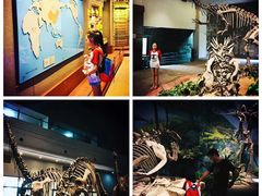 -自贡恐龙博物馆