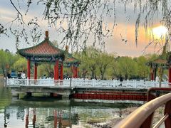 -长春市南湖公园