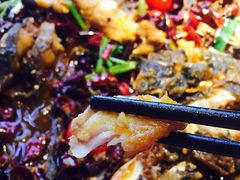 -老板恋上鱼(恒隆广场店)