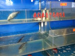 水产区-尚府一品·烤鸭·新京菜(圆明园店)