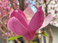 -TIMEZONE8东八时区餐厅&酒吧(798店)