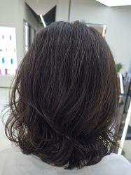 -FINE HAIR 烫染专业设计