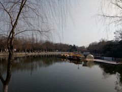 -泰州凤城河风景区-泰山公园